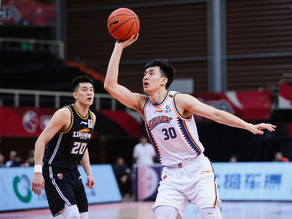 他的全面表 他的全面表